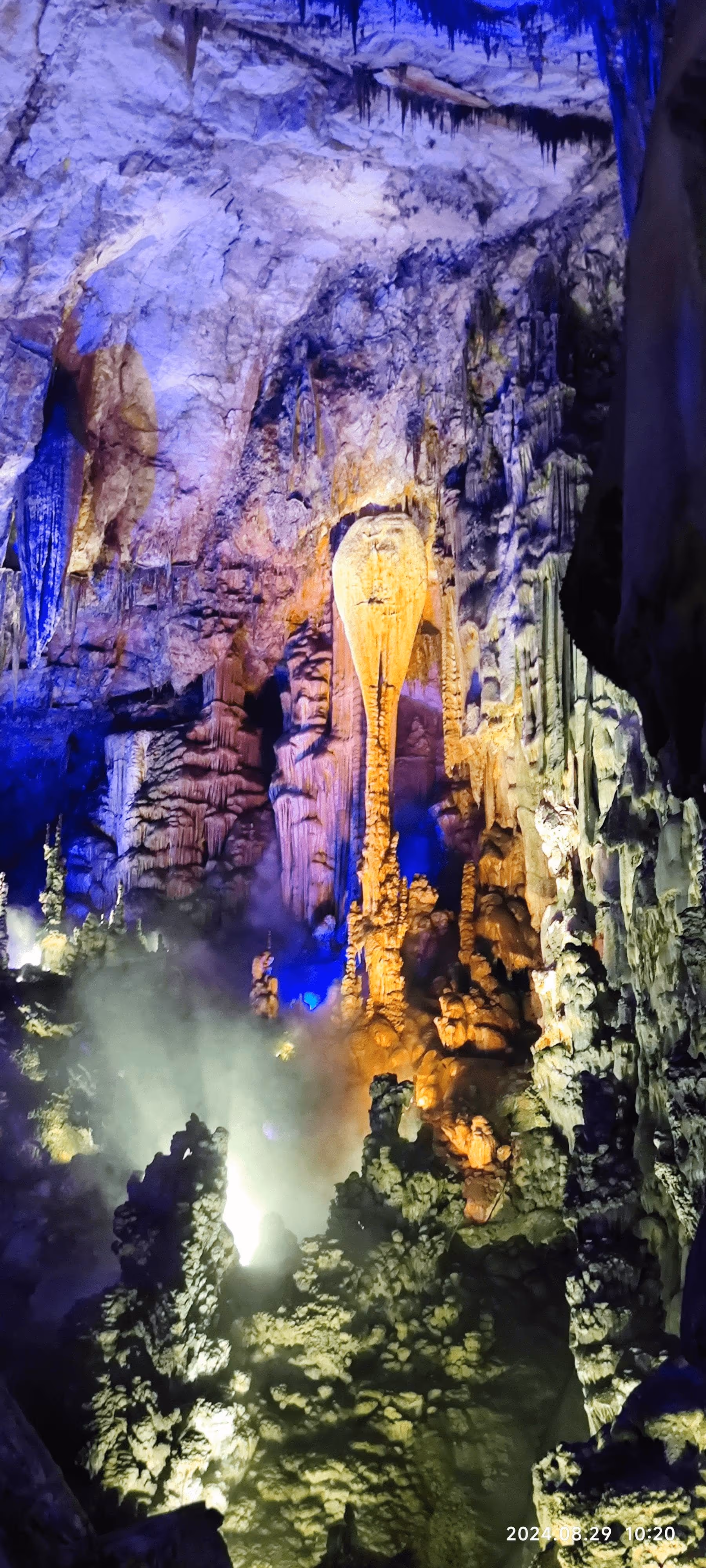 倒挂琵琶 倒挂琵琶